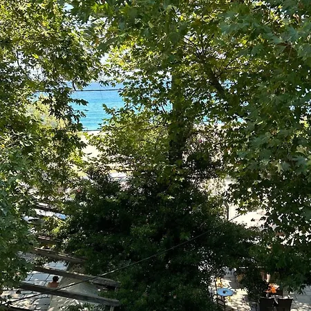 Casa vacanze Pelion East Coast Retreat